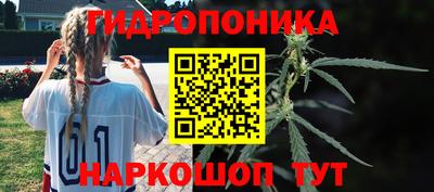 Альфа ПВП Шебекино