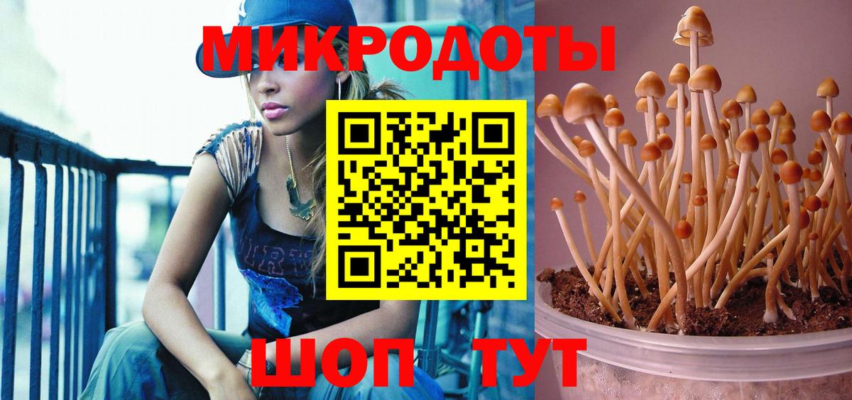 Псилоцибиновые грибы Psilocybine cubensis  Галлюциногенные грибы Magic Shrooms  Богданович  наркота  Вход с VPN 
