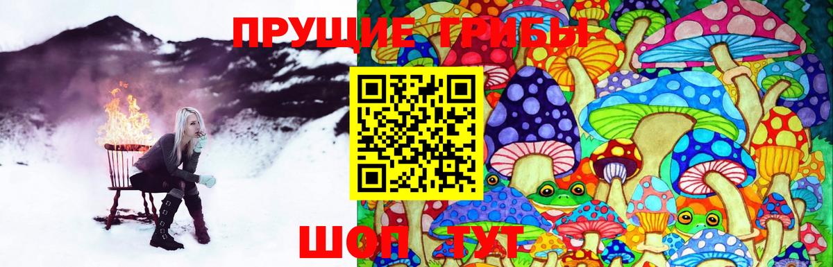 Псилоцибиновые грибы Magic Shrooms Богданович